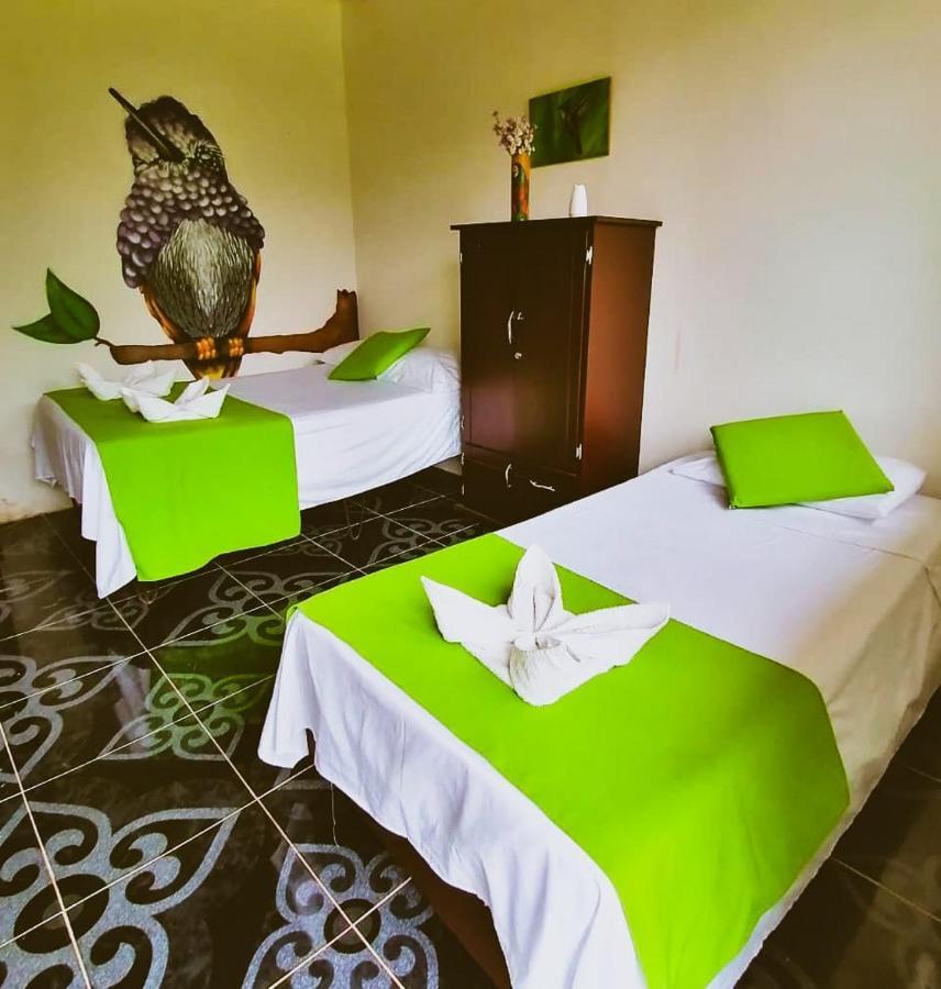 Ecohotel Colibri Salento Luna Park Eksteriør billede