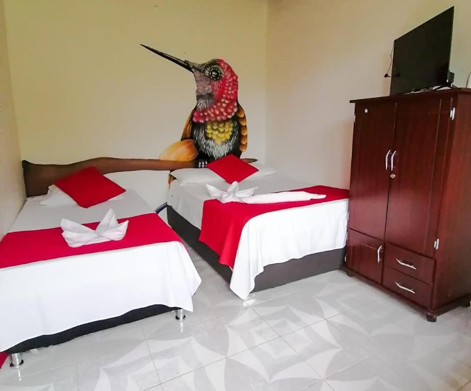 Ecohotel Colibri Salento Luna Park Eksteriør billede