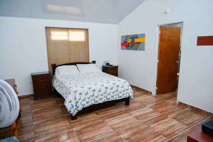 Ecohotel Colibri Salento Luna Park Eksteriør billede