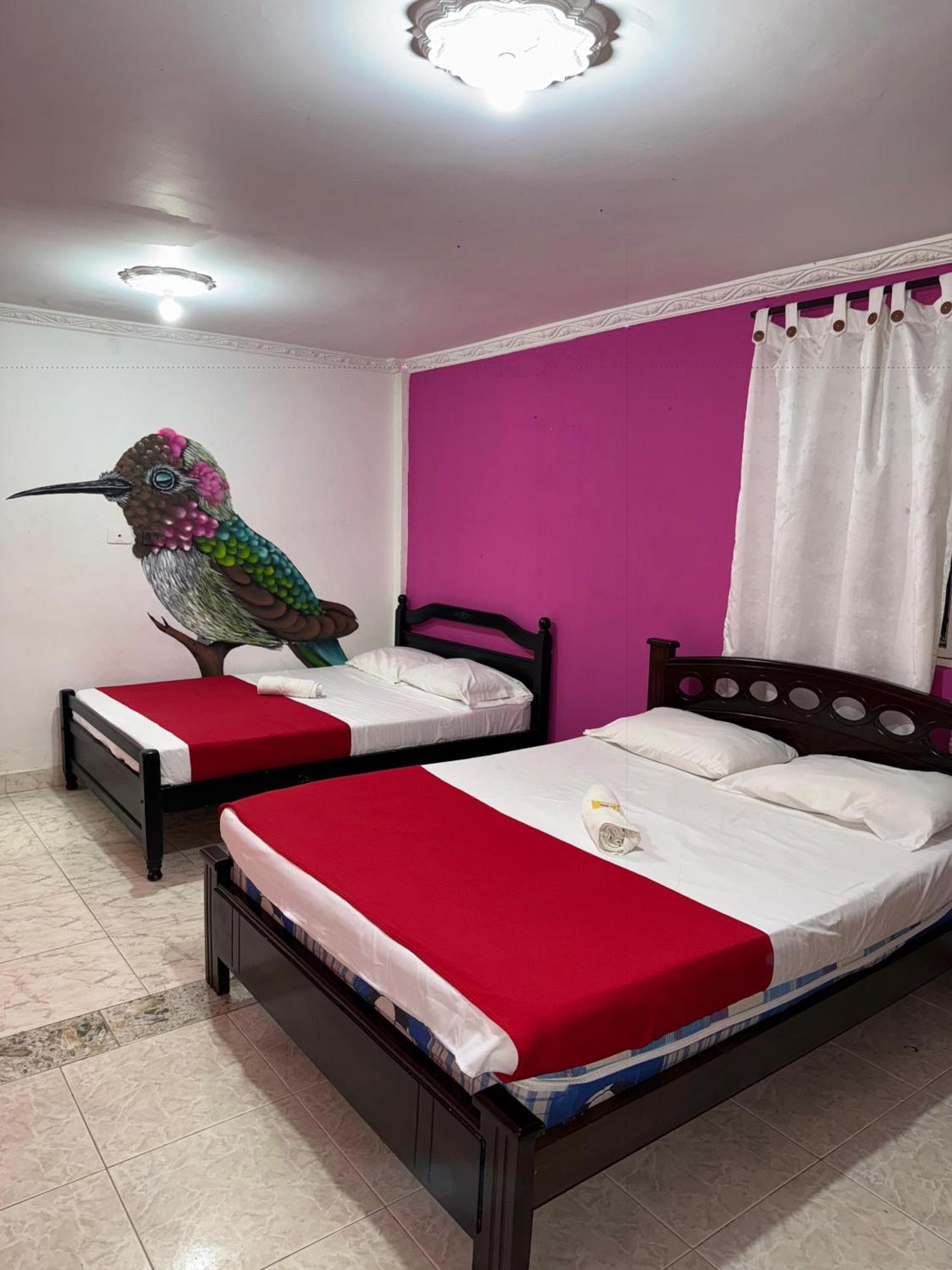 Ecohotel Colibri Salento Luna Park Eksteriør billede