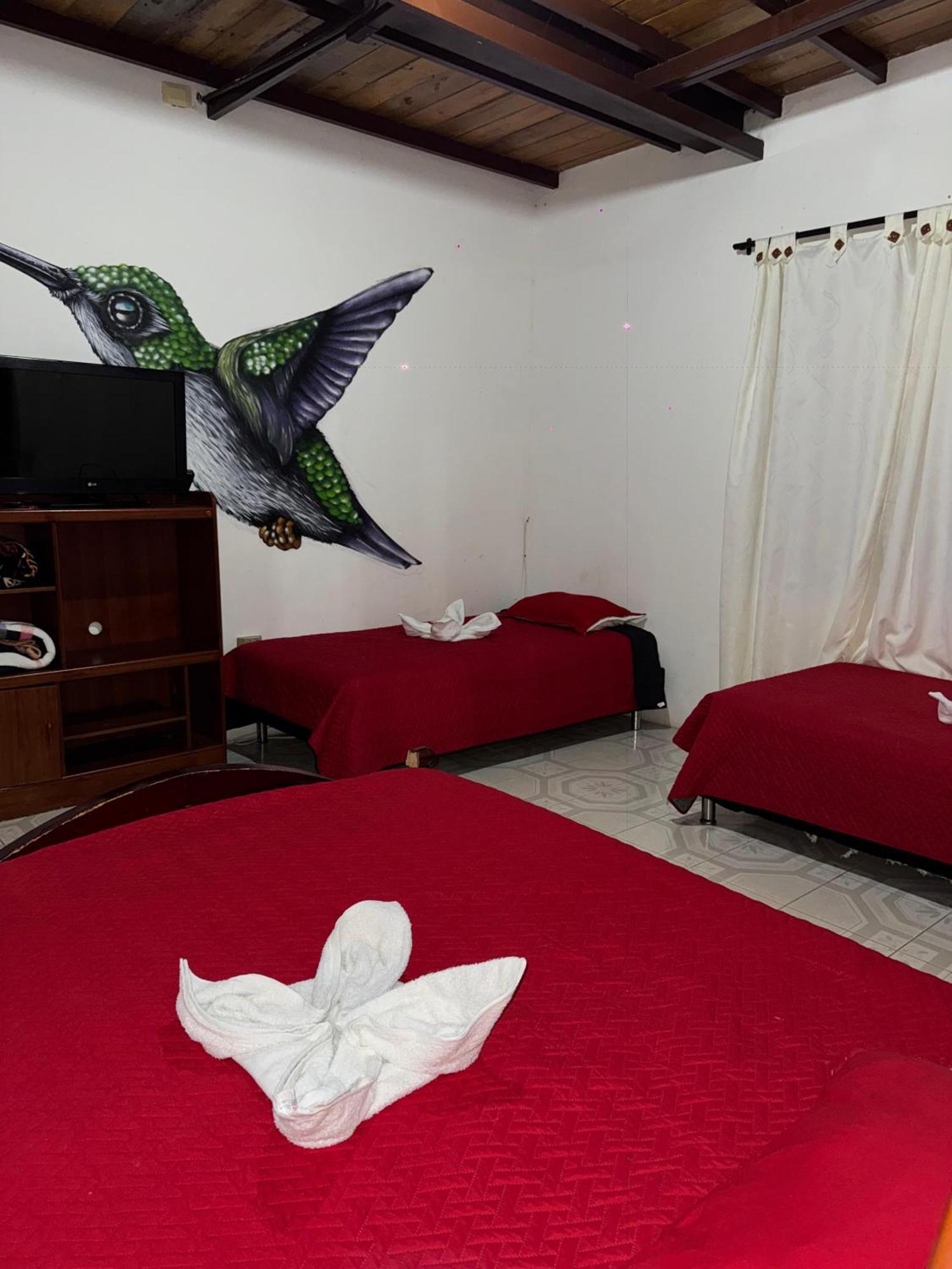 Ecohotel Colibri Salento Luna Park Eksteriør billede