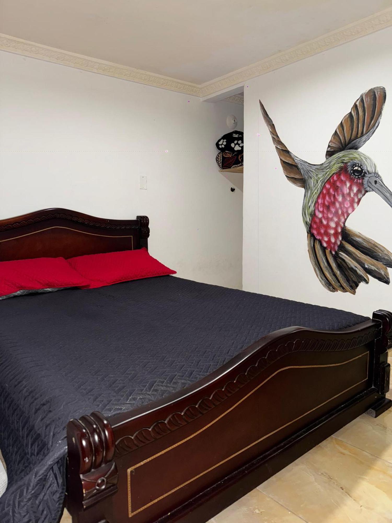 Ecohotel Colibri Salento Luna Park Eksteriør billede
