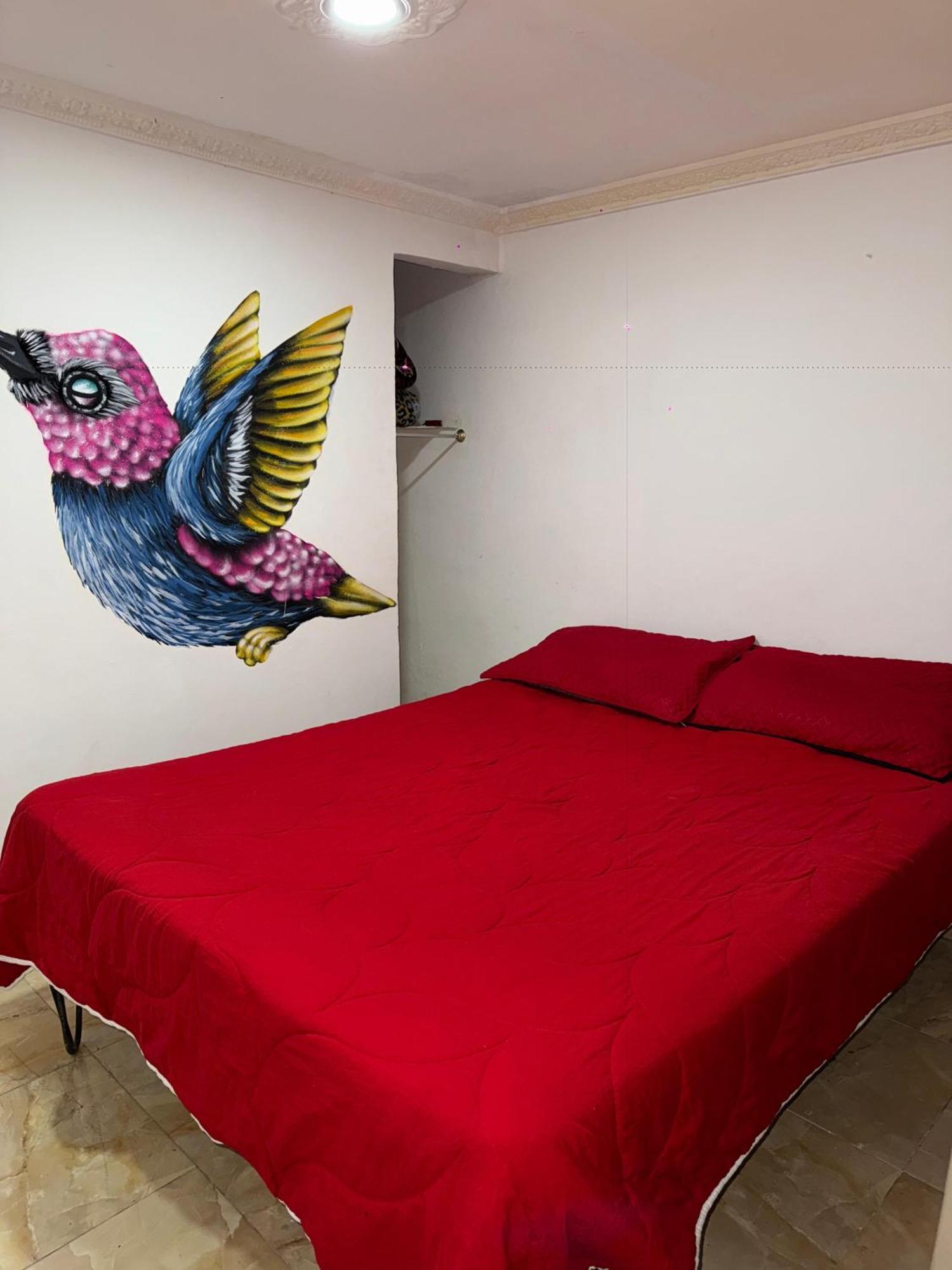 Ecohotel Colibri Salento Luna Park Eksteriør billede