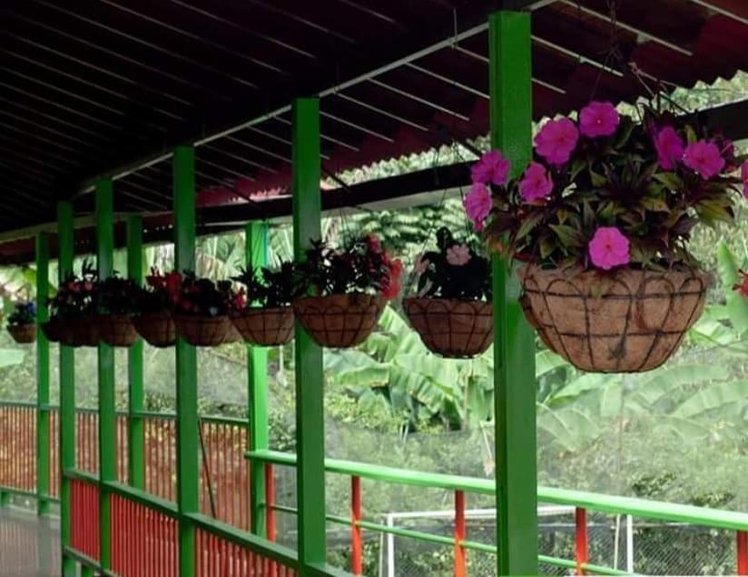 Ecohotel Colibri Salento Luna Park Eksteriør billede